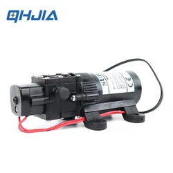 DC12V 24V Mini Sprayer High Pressure Car Road Roller Washing Agricultural Miniature Electric Diaphragm Small Water Pump FL-2202