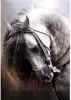 5D DIY Diamond Painting Horse Art Kits for Adults 1