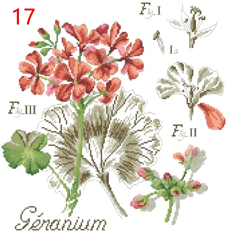 17 重绘8540-天竺葵DFEA阴影花系列12