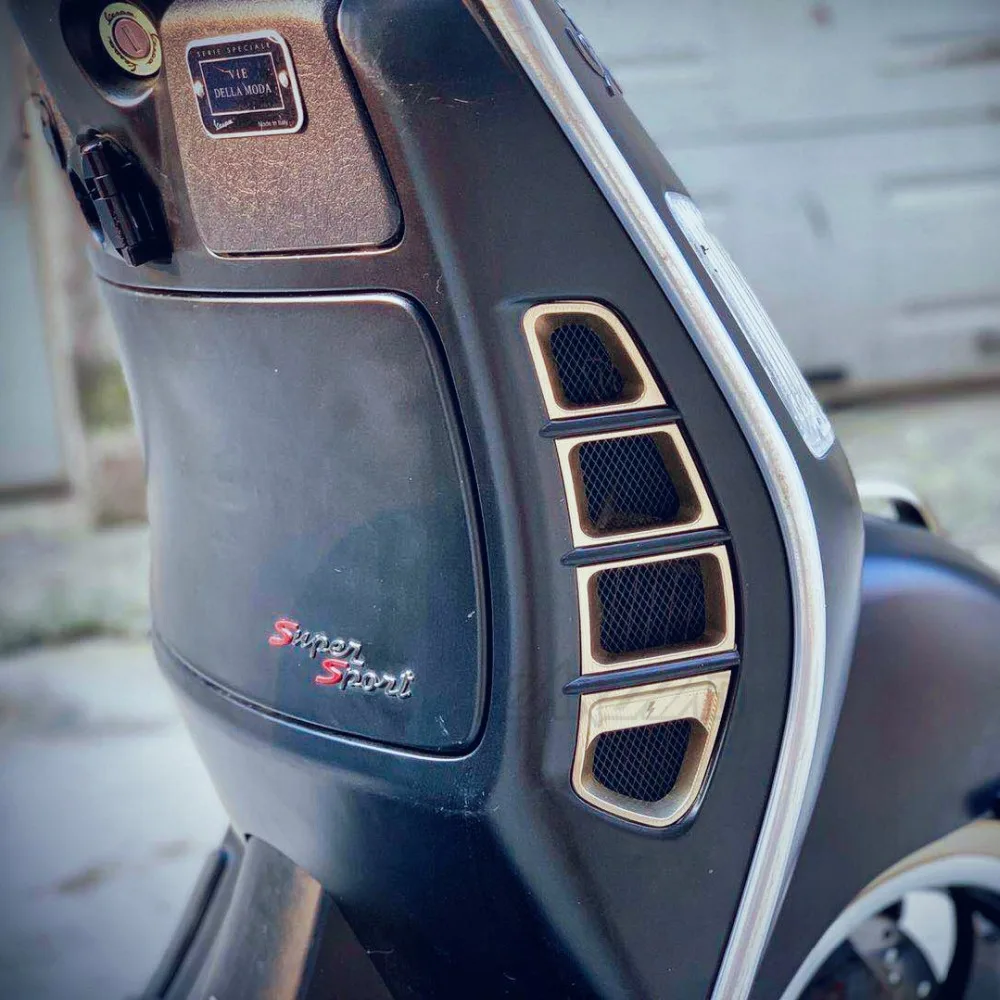 GTS 250 300 Radiator guard (3)
