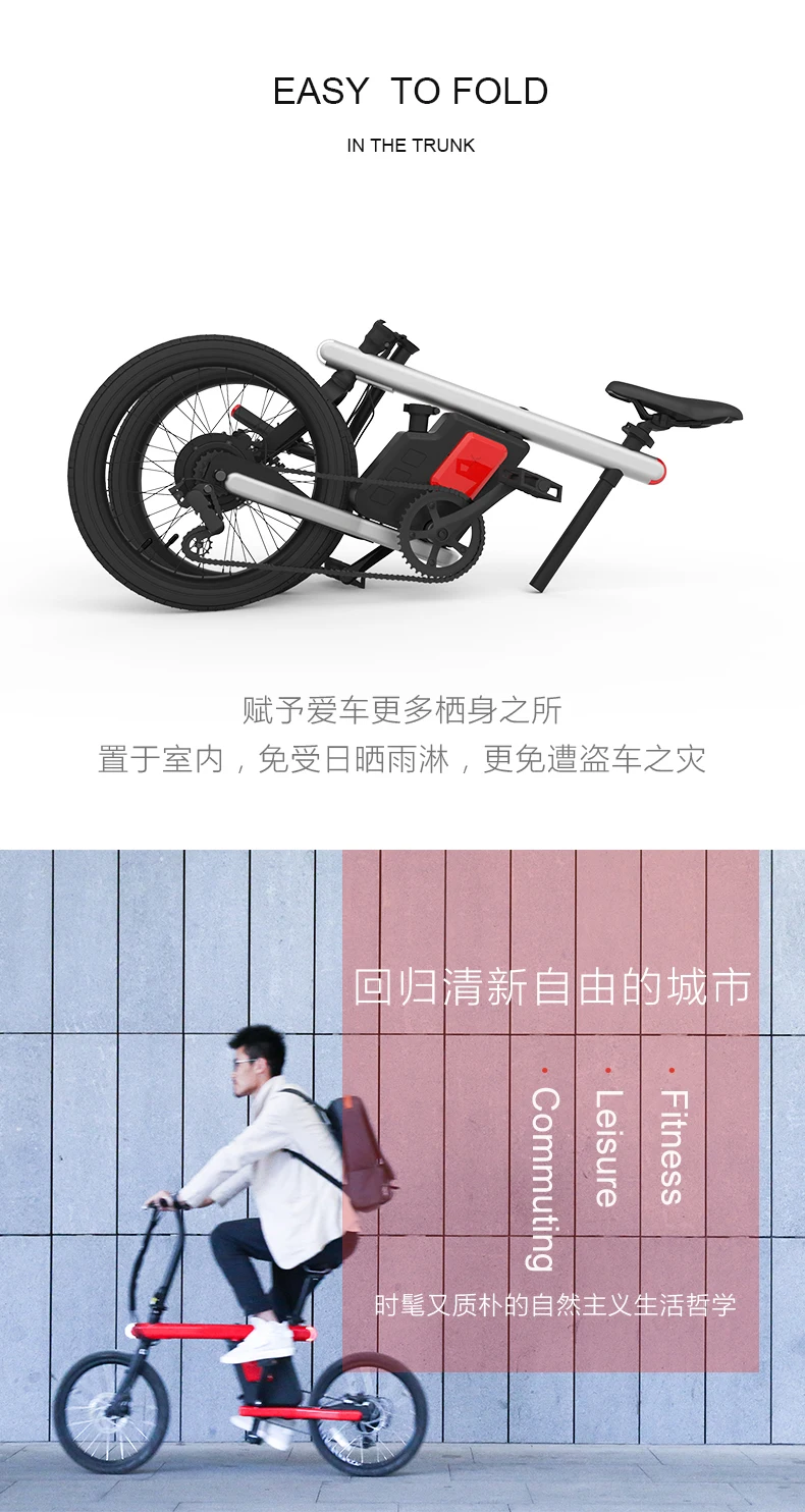 Perfect Daibot Electric Bicycle 250w Two Wheel Electric Bicycle 20 inch 36V Max Speed 25KM/H Mini Type Smart Electric Bike With Seat 9