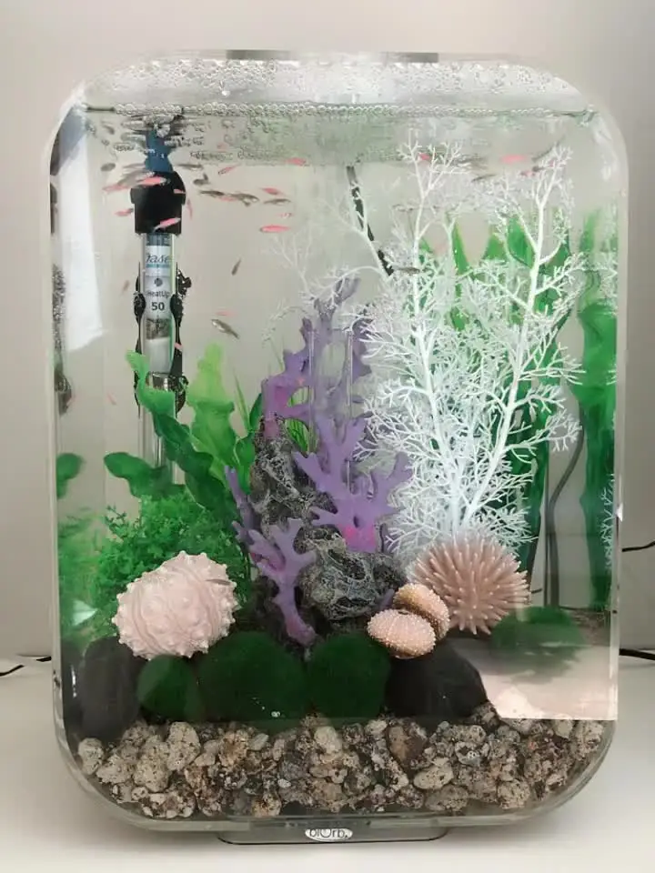 新登場 円筒形水族館タンク 水槽用のカスタマイズ可能な丸型水槽 純正 オフライン販売 Uinsaizu Ac Id