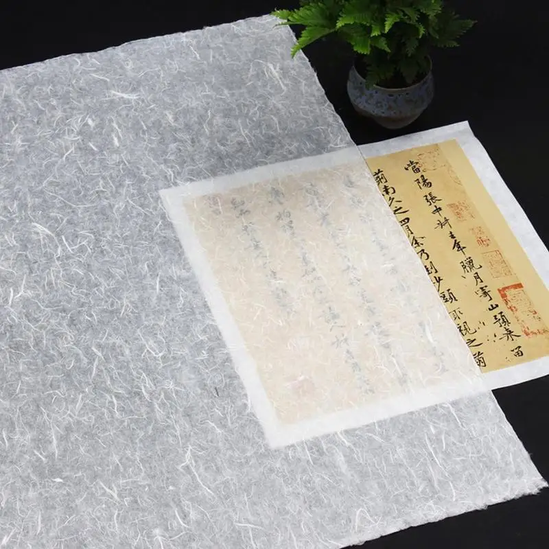 10 листов прозрачная Китайская рисовая бумага для каллиграфии тутового фонаря Xuan sumi-e Zhi живопись длинная волоконная бумага C4N6