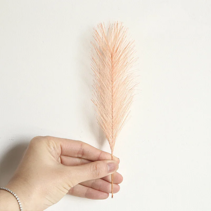 10868185269_1245478559