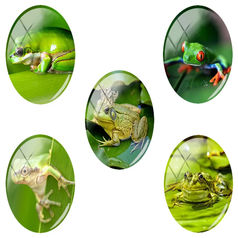 

TAFREE Oval 18x25mm Classic Animal Theme Art Photos Frog Frog Predation Leave Glass Jewelry Findings Flat Back Settings HL116
