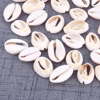 

500g Natural Sea Shell Loose Beads Home Decoration DIY Craft Conch Shell Pendant Jewelry Accessories kauri schelpen conchiglie