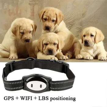 

Pet Gsm Gps Tracker Waterproof Locator Collar For Dog Cat Long Standby Geo-fence Free App Platform Tracking Device USB Charging