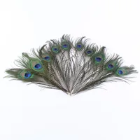 10Pcs Natural Peacock Feather Holiday Party  Plumage Fashion Crafts Beautiful Decorative 25-30cm 2