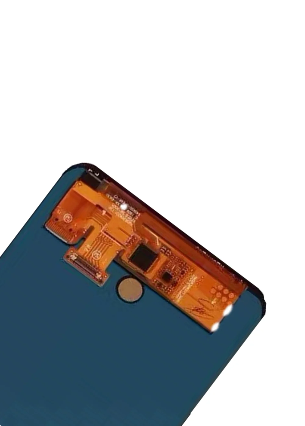 微信图片_20191226105216_副本