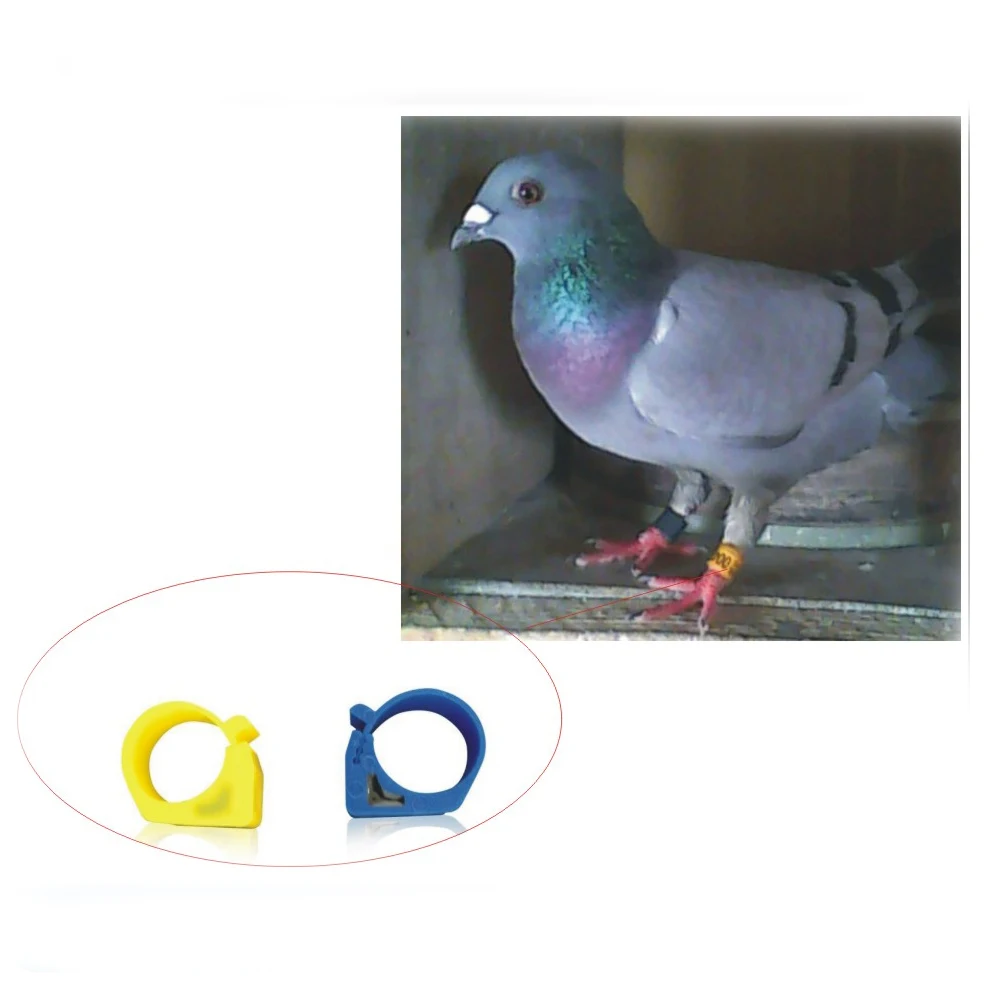 XIAOSI 12X13mm Electronic Farm for Tracking Chicken RFID Bird Foot Ring Tag Leg Bands Rings Foot Clip Rings Pigeon Blue