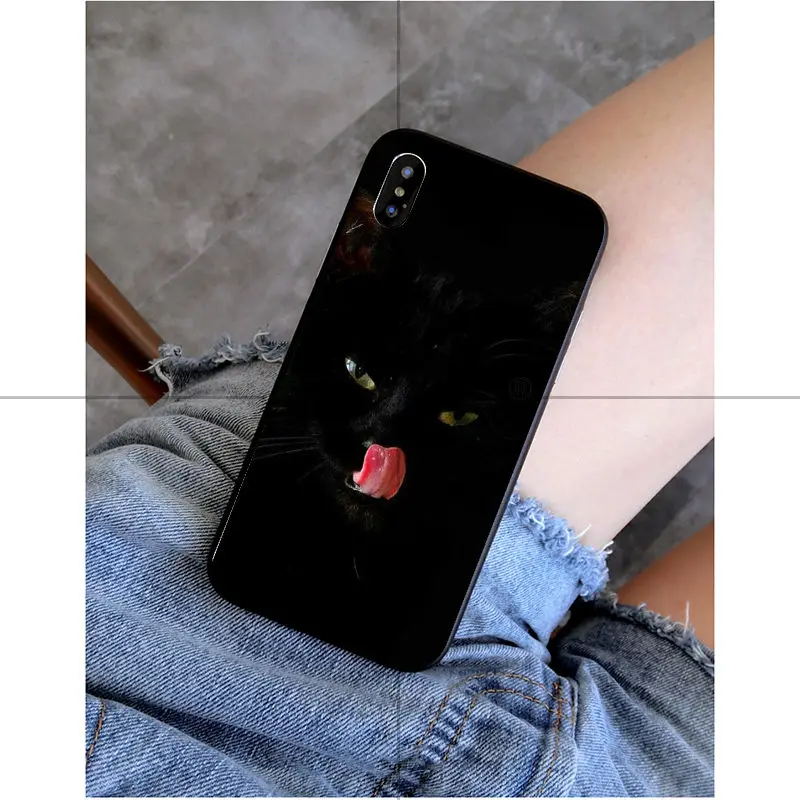 Black Cat Watch Eyes 