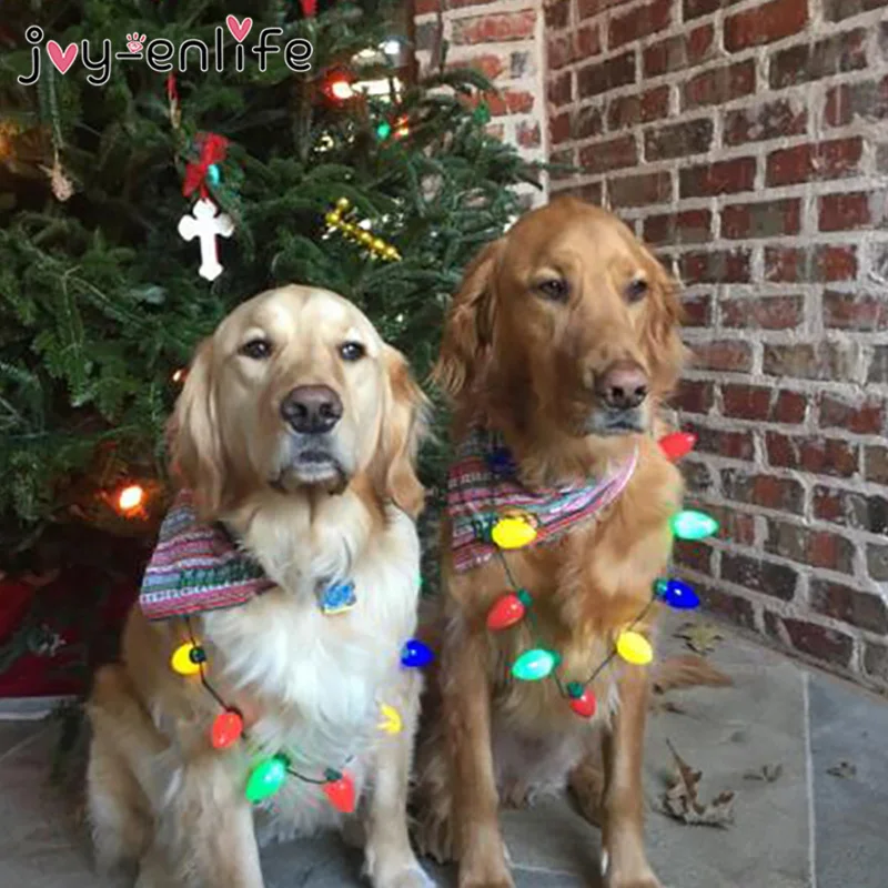 QQ截图20200731132956