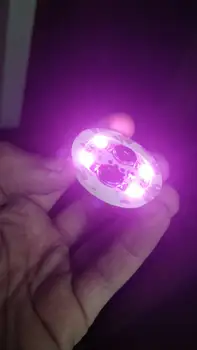 

1000 pcs = 727 usddhl free delivery