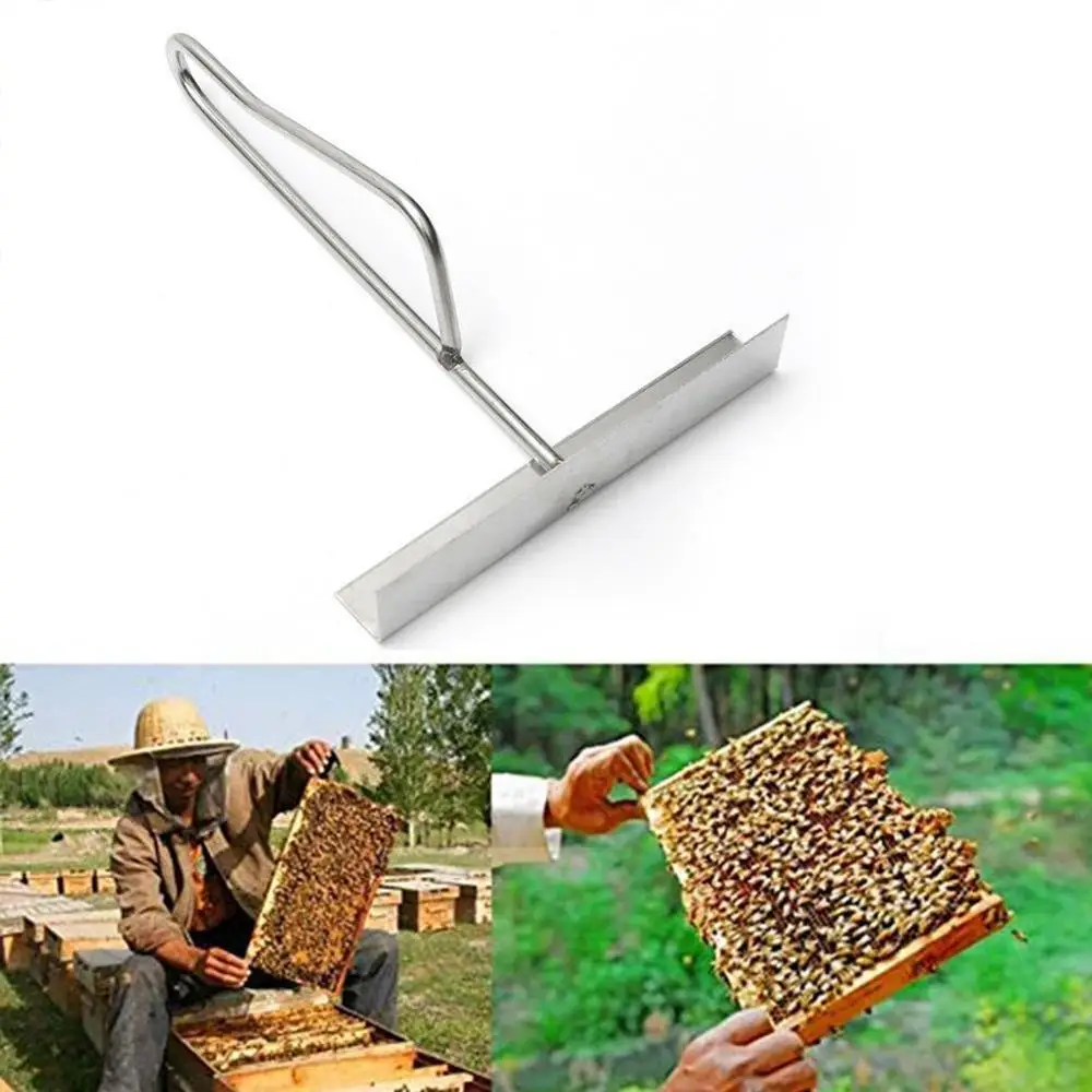 Multifunction Bee Tools Stainless Steel Thumb Type Bee Honey Knife Bee Hive Scraper Beekeeping Bee Scraper Cut