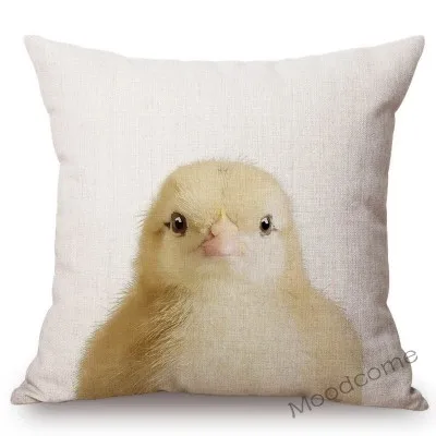 conew_t215 (28) 副本