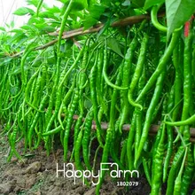 Горячая Распродажа! 100 шт./лот длинный красный перец чили Бонсай здоровые органические растительные растения, садовые растительные перцы в горшках,# ZZT8K0