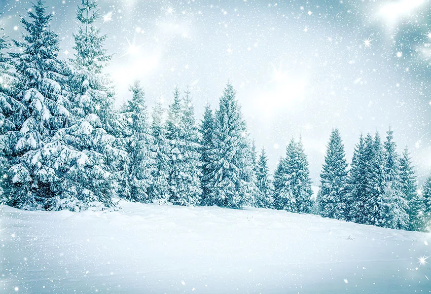 7x5FT Beautiful Winter Woodland Sparkle Snowflake Forest Wonderland Custom Photo Studio Backdrop Background Vinyl 220cm X 150cm |