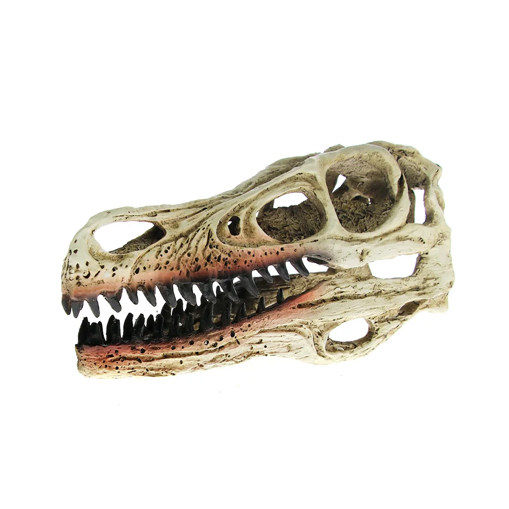 1 шт. модель черепа динозавра Велоцираптор ископаемый каучук череп динозавр