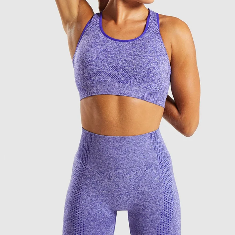 BraPantsPurple Комплект для йоги, женские спортивные костюмы для фитнеса, одежда для спортзала, укороченный топ с длинным рукавом, рубашки с высокой талией для бега, бесшовные леггинсы, тренировочные штаны - Цвет: BraPantsPurple
