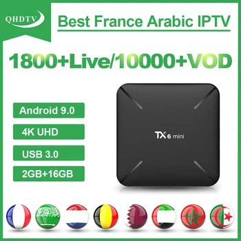 

TX6 Mini IPTV Subscription QHDTV 1 Year Android 9.0 USB3.0 Arabic Belgium IPTV Germany Morocco Dutch IP TV Box No App Include