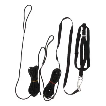 

Outdoor Parrot Leash Adjustable Bird Harness For Small to Large Birds Black
