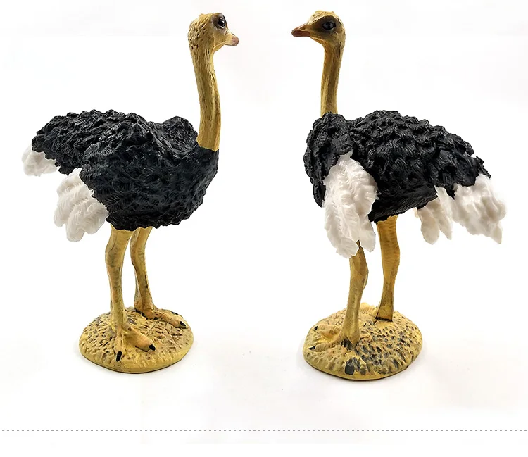 详情页-2款-鸵鸟_05