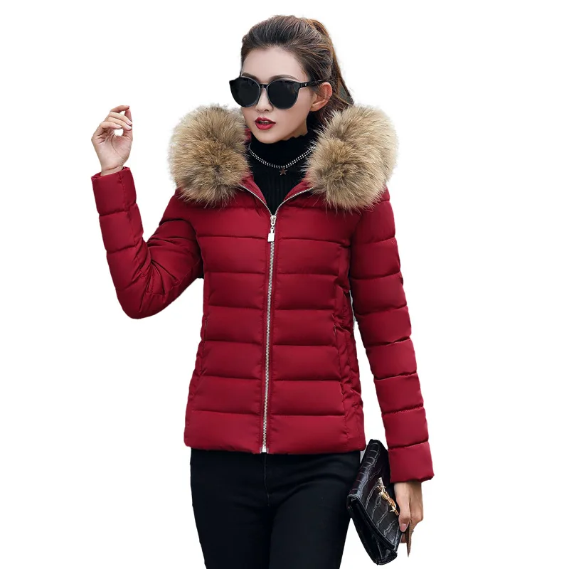 Зимняя куртка женская новая парка женские пальто с капюшоном Дамская Женская куртка толстая подкладка с хлопковой подбивкой зимние