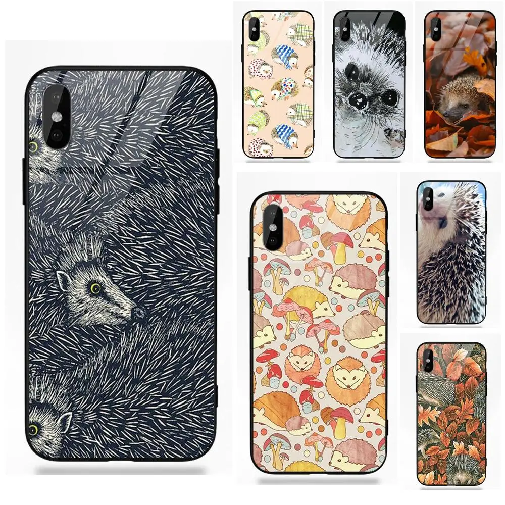 Мягкий ТПУ чехол+ закаленное стекло милый Ежик дикая природа для Apple iPhone 5 5C 5S SE 6 6S 7 8 Plus X XS Max XR