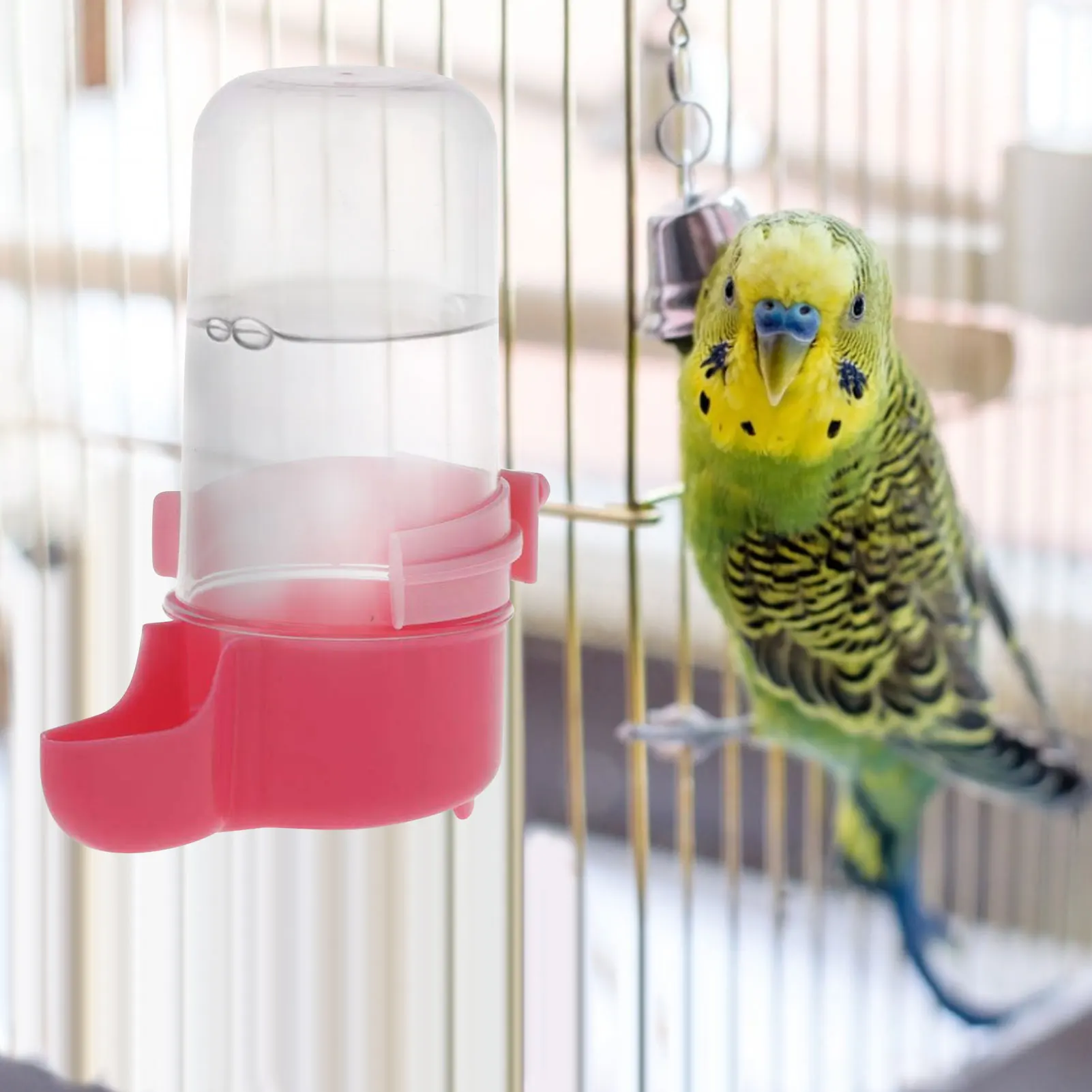 Bird Feeder Waterer Drinker Pet Bird Feeding Supplies For Bird Feeder Dispenser Bottle Drinking Cup Bowls For Pet Parrot Cage