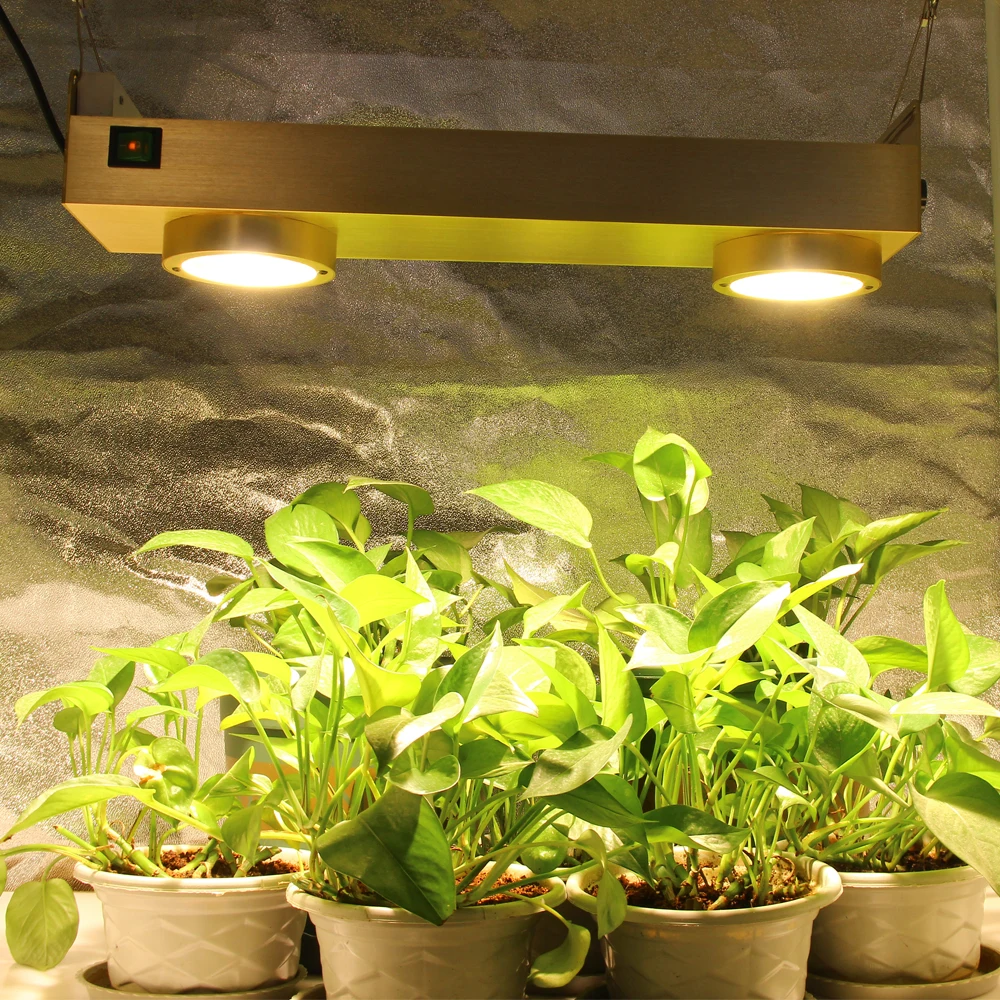 

COB LED Grow Light Dimmable Cree CXB3590 200WFull Spectrum With Timer For Indoor Greenhouse Plants Flowers All Stage Grow