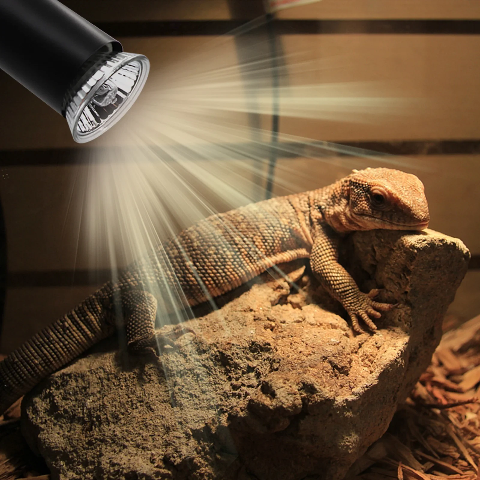 220V Reptile Heat Lamp Reptile Light Bulb Reptile Lamp Bulb Lamp for Turtle Tortoises Heating Holder Thermometer Hygrometer Turtle Tortoises Basking