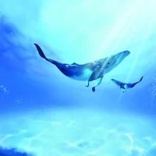 Морской Кит Индивидуальный размер стеклянная пленка электростатический антисептик Съемный Многоразовый прочный домашний декор виниловая Тонировочная пленка 60 см x 100 см