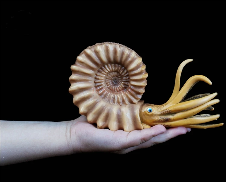 Nautilus имитация раковины аквариум модель животного игрушка подводный мир пластик твердый ребенок когнитивный подарок