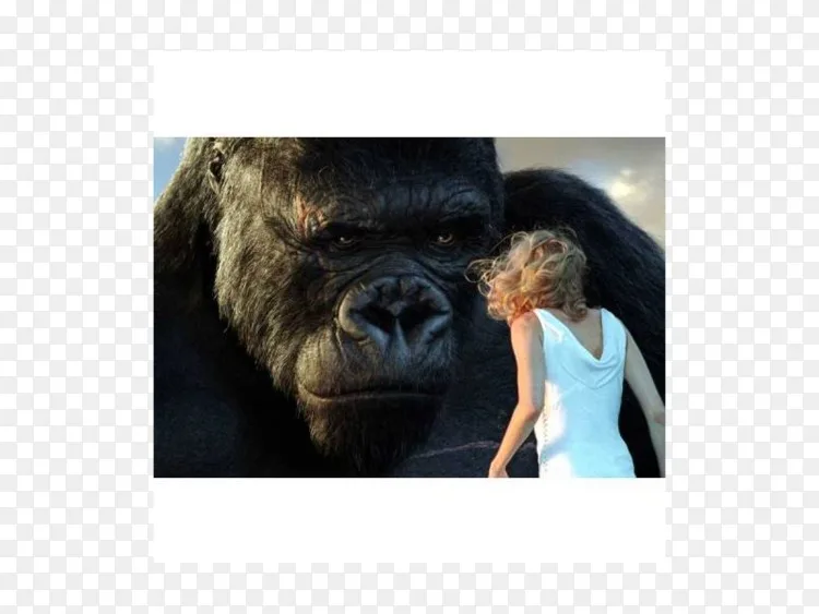 彼得 杰克逊的 金刚骷髅岛 电影 怪物 金刚png图片素材免费下载 图片编号 Png素材网