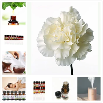 

10ML Essential Oils for Diffuser Aromatherapy To Relieve Cranberry Grape Stress Skin Care Judas Tree Aromatic Oil To Helps Sleep
