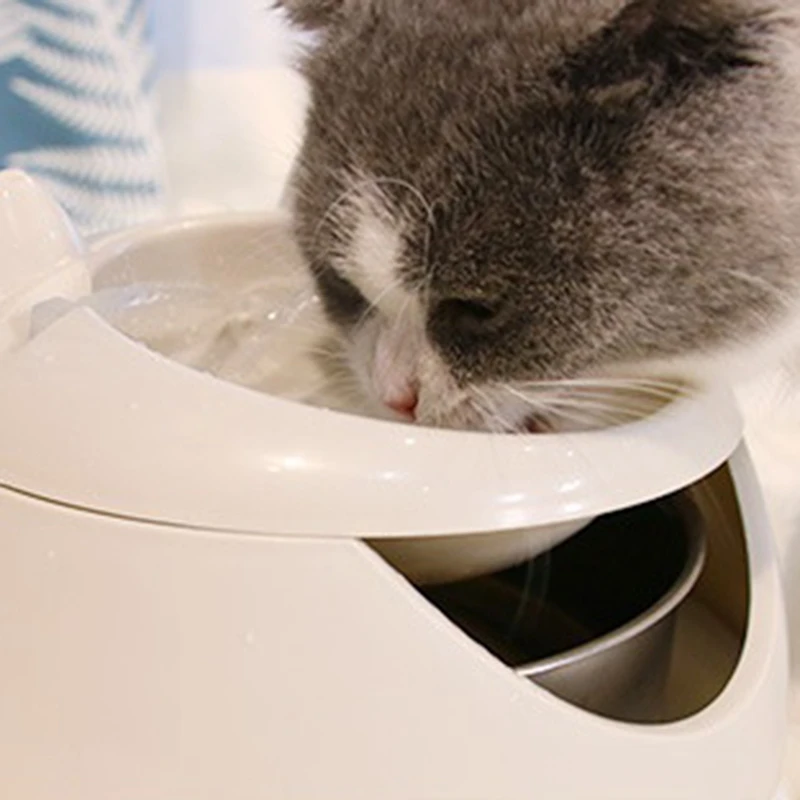 Cat'S автоматический светящийся фонтан собака Usb Электрический диспенсер для воды Cat'S поилка