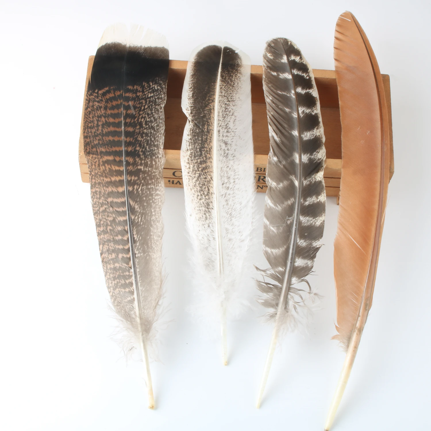 New Various Top Quality Real Natural Eagle Feathers 10pcs 1540cm Eagle