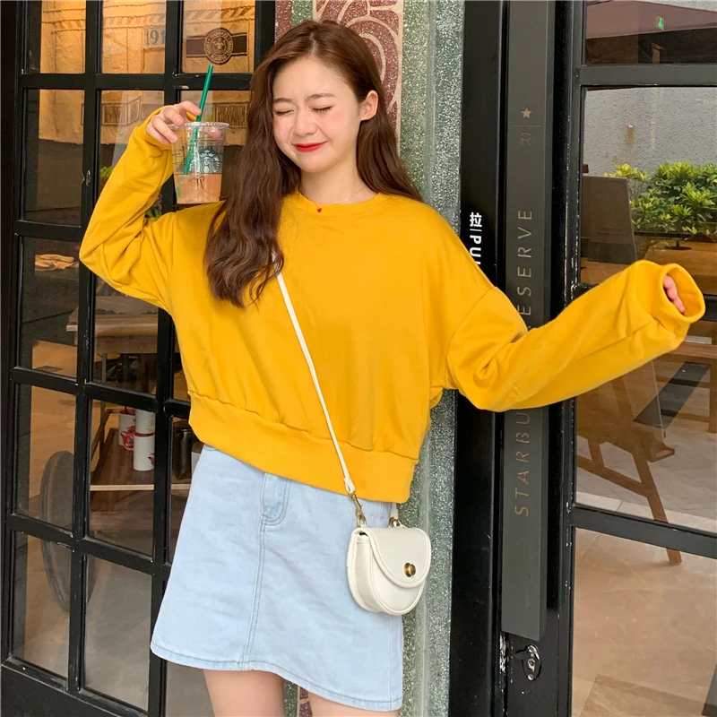 

HAYBLST Brand Women Hoodies 2019 Autumn Winter Kpop Fashion Letter Kawaii Embroidery Top Loose Plus Size XL Long Sleeve Clothing