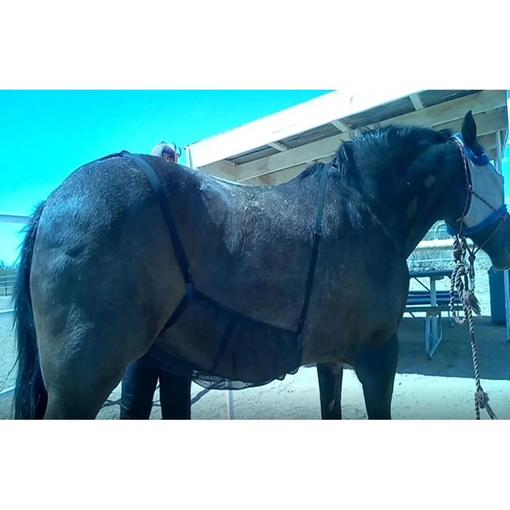 Эластичная дышащая сетка для лошадей и живота удобная уличная защиты от