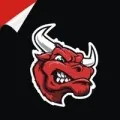 Bullmoto Store