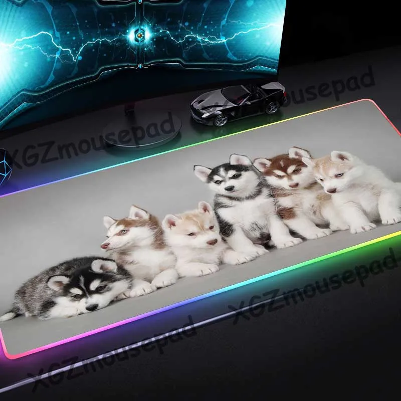 

XGZ Animal Cute Pet Dog Husky High Definition Custom Large RGB Mouse Pad Black Lock Edge Computer Desk Mat Rubber Non-slip Xxl