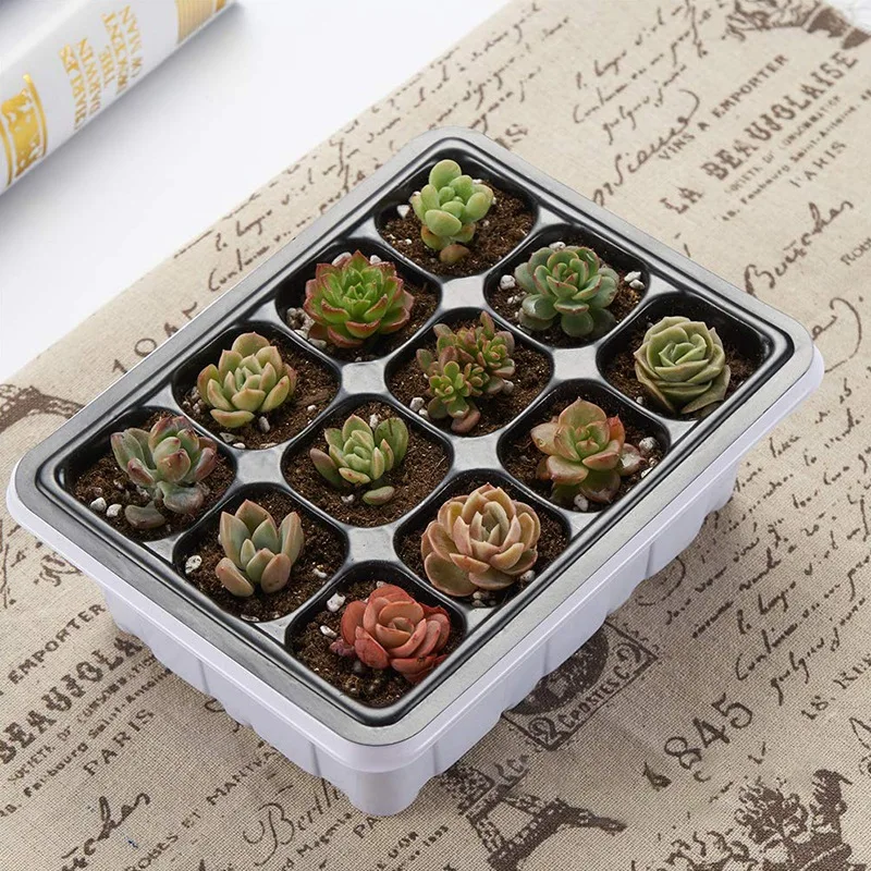 

10 Sets Seed Trays 120 Cells Seedling Starter Tray Garden Plant Germination Kit Seed Starting Tray with Dome and Base, Hand Tool