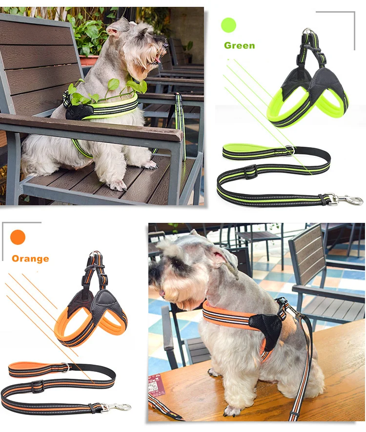 12021663398_1026663116 (1)