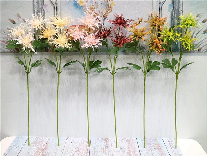 11269099359_1735480233