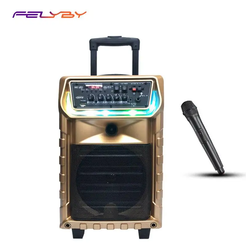 Переносной беспроводной Bluetooth динамик FELYBY 8 дюймов для дома и улицы|Всепогодные