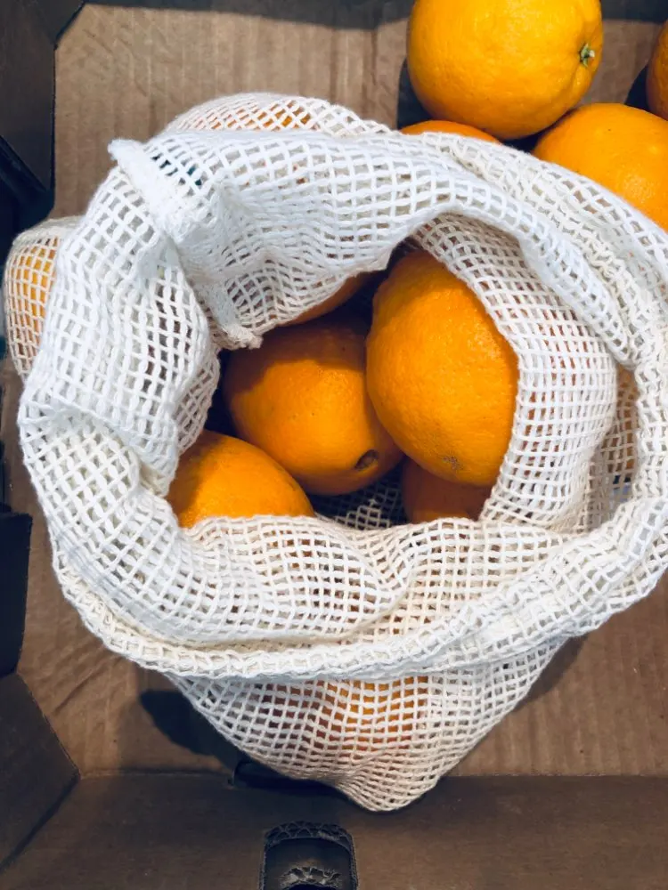 HTB1kWbvNmzqK1RjSZFjq6zlCFXaO