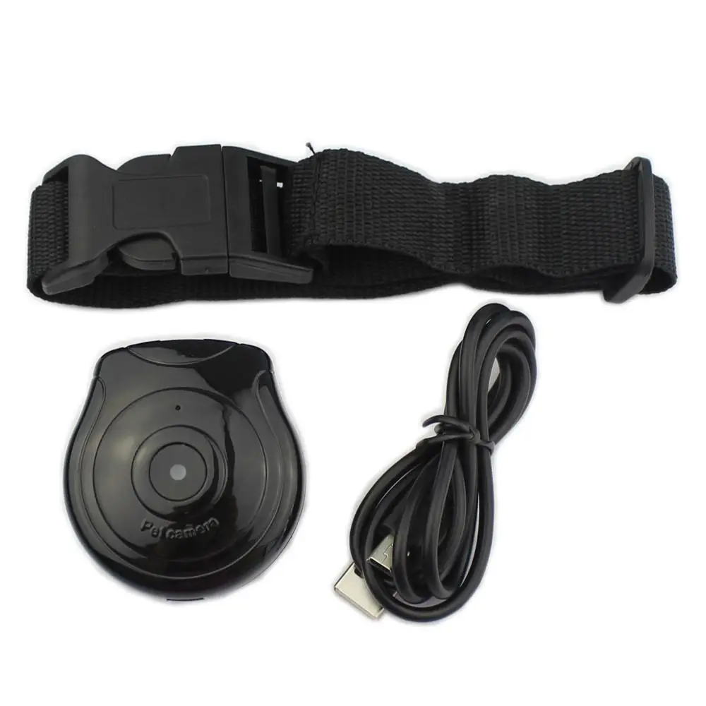 

QQQPET DVR Pet Video Camcorder Black Useful Dog Cat Puppy Mini Camera HD Collar Video Recorder Monitor