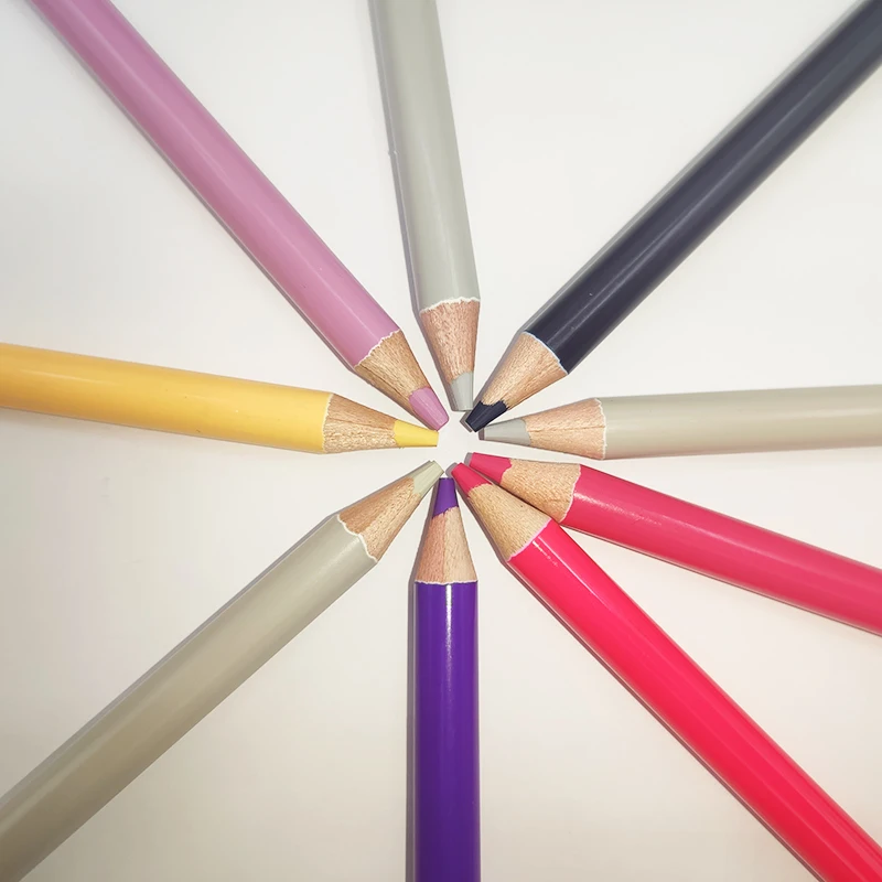 Ccfoud 520 crayons de couleur, ensemble professionnel de crayons