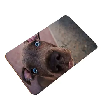 

1pc 40X60cm Cute Cat Pattern Floor Mat Anti-Slip Suede Carpet Doormat indoor Kitchen Bathroom Living Room Door Mat Rug