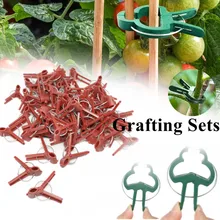 

50PCS/31PCS Flat and Round Grafting Clips Garden Durable Tomato Vegetable Plant Support Reusable Tools Agriculture Fixing Clamps